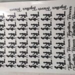 VS051 Couple Insert/Transparent Sheet A4
