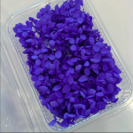 CD103-5 Hydra Flower Blue
