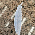 SM057 Feather Bookmark Mould 6 Inch
